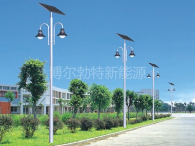 太陽(yáng)能庭院燈