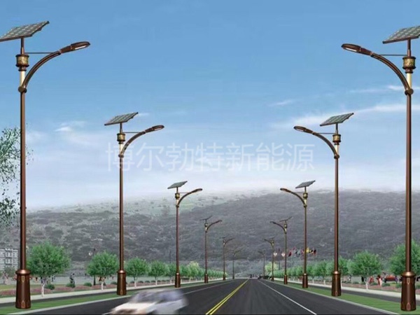 定制款太陽(yáng)能路燈